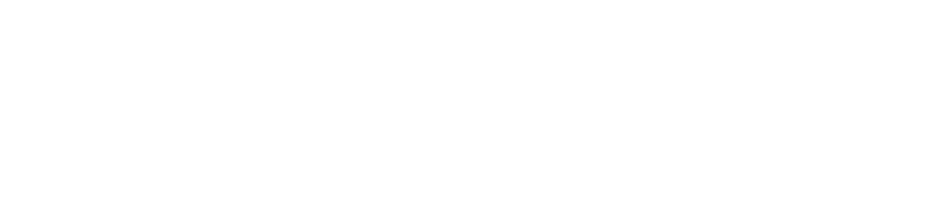 SambaNova